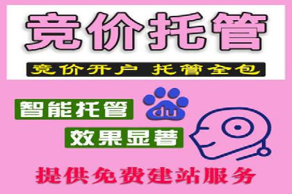 金融行业SEM外包广告的投放策略及效果